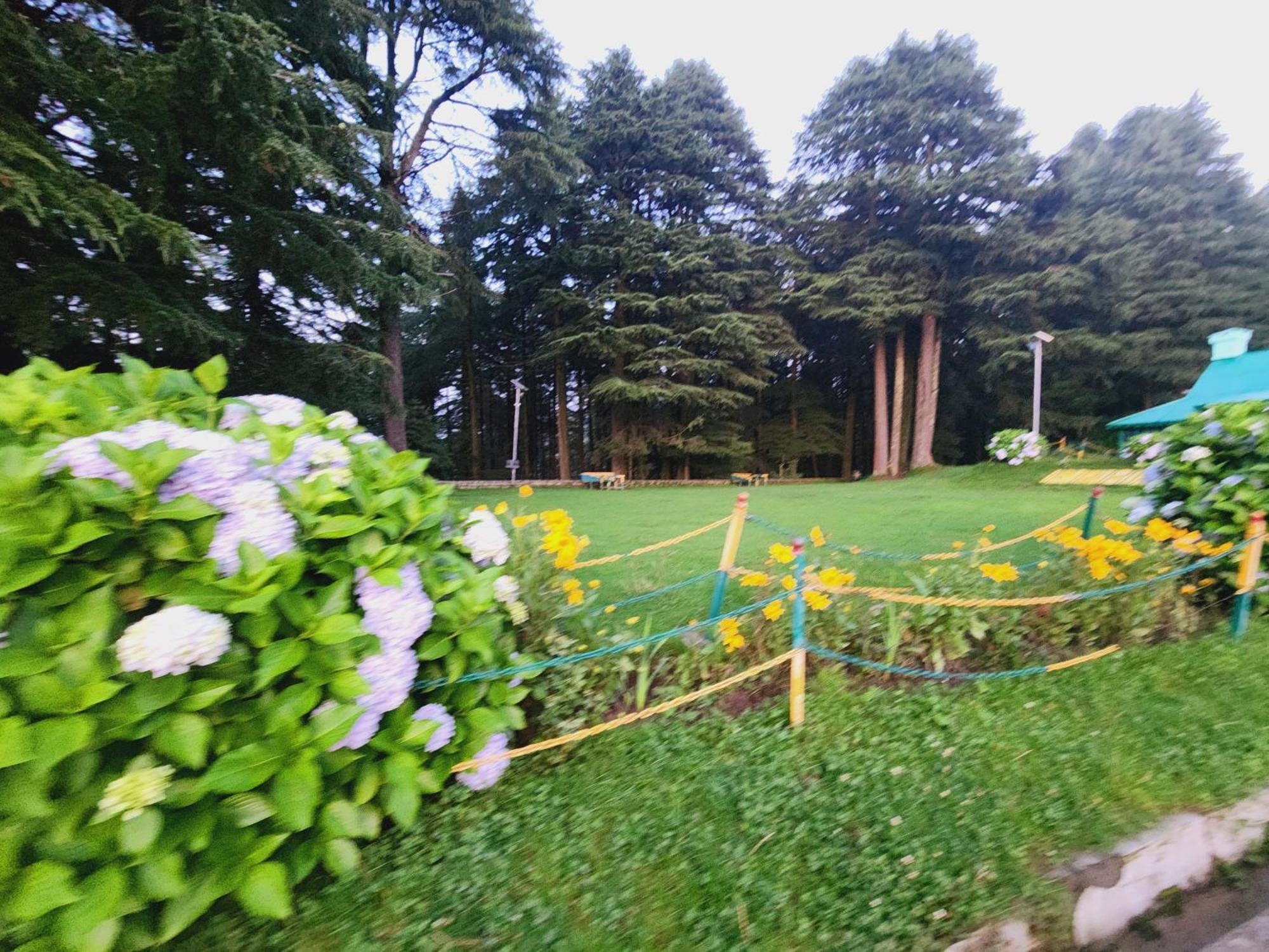 Hotel Smarthill Kalatop-Nature'S Heaven Dalhousie Exterior foto